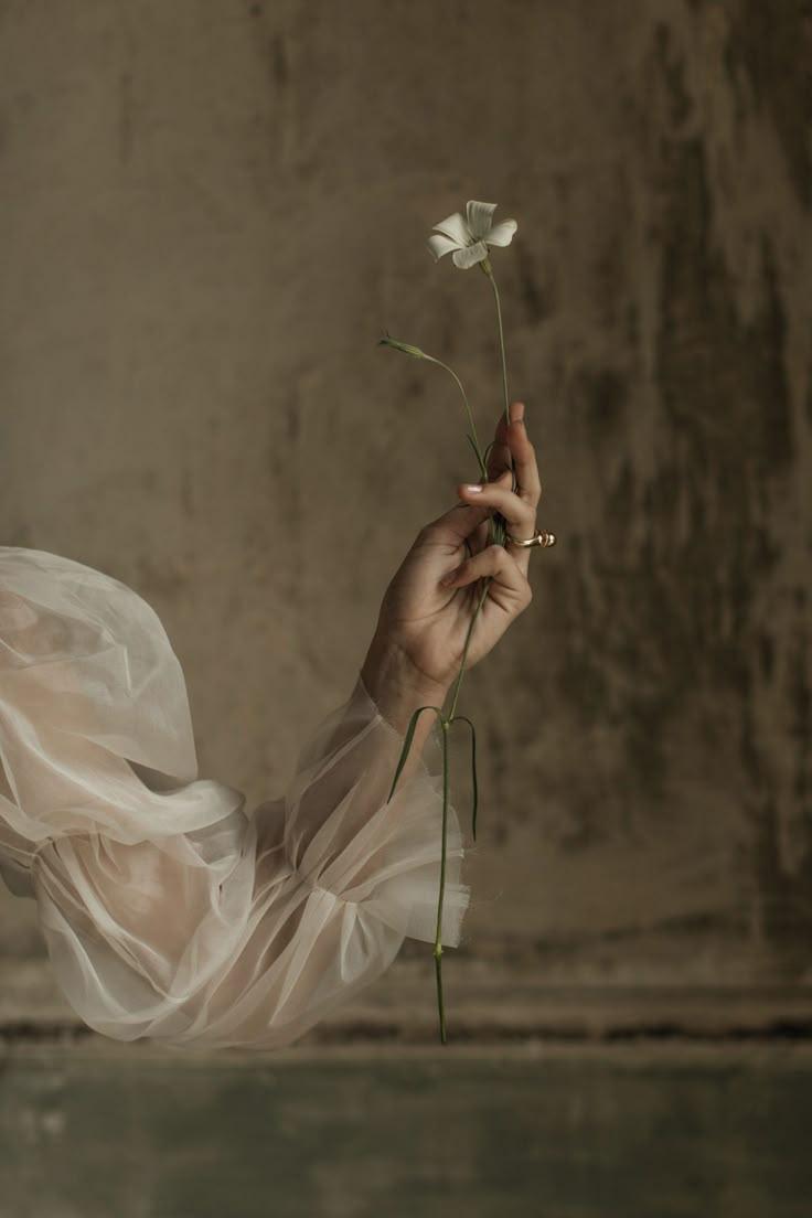 Secret Garden's Aromatic Symphony Cluster